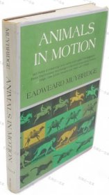 价可议 Animals in motion nmwznwzn