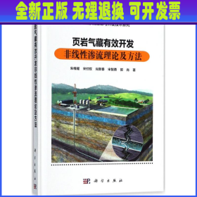 页岩气藏有效开发非线性渗流理论及方法