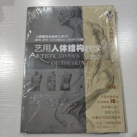 艺用人体结构教学