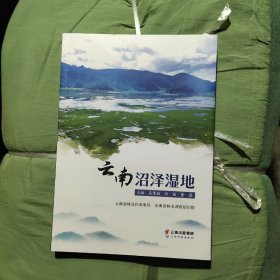 云南沼泽湿地