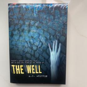 英文原版书籍  The Well
