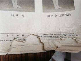 全开矫正体操挂图一套14幅全