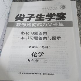 尖子生学案：九年级化学上（新课标粤科 彩绘版 含教材习题答案）