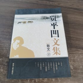 贾平凹文集：散文壹