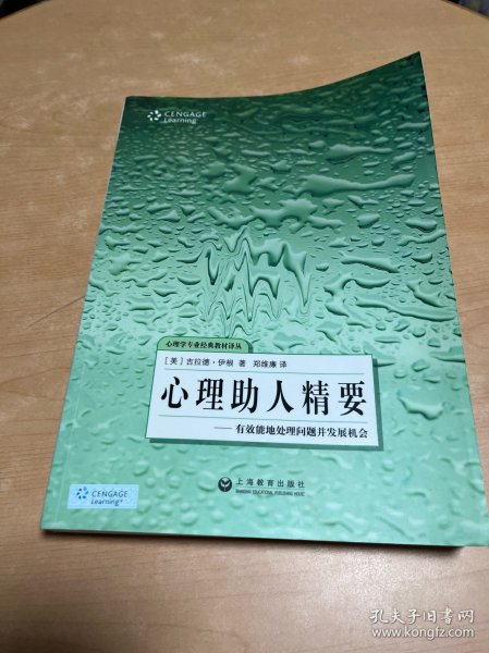 心理助人精要：有效能地处理问题并发展机会