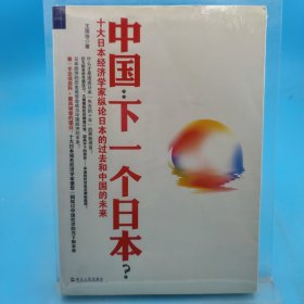 中國：下一個日本？：十大日本經(jīng)濟學家縱論日本的過去和中國的未來