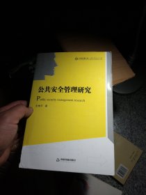 中国书籍文库：公共安全管理研究
