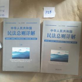 中华人民共和国民法总则详解（套装上下册）