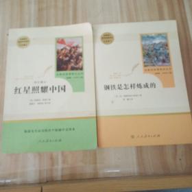 统编语文教材配套阅读 八年级下：钢铁是怎样炼成的/名著阅读课程化丛书