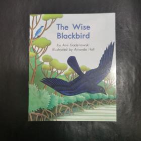 the wise blackbird