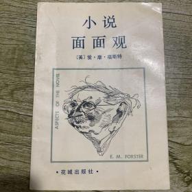 小说面面观（20世纪重要的小说美学名著，了解小说艺术的奥秘；英国作家E.M福斯特著名的代表作之一）