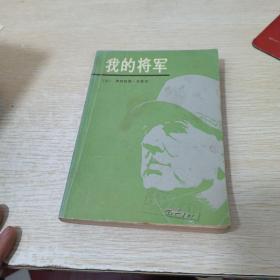 我的将军