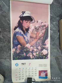 1985年挂历恭贺新禧美女13张全77×34cm