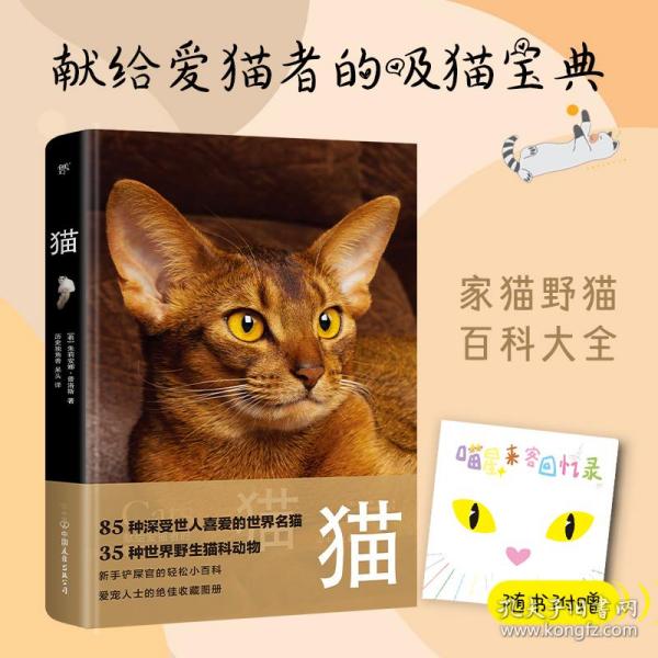 猫（野猫家猫百科大全，85种世界名猫，35种野生猫科动物。精装全彩印刷，200+高清美图，附赠手账+图鉴+书签）