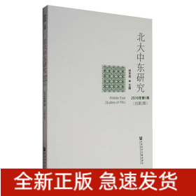 北大中東研究