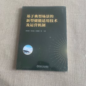 基于典型场景的新型储能适用技术及运营机制