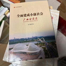 全面建成小康社会广西全景录（“纪录小康工程”丛书）