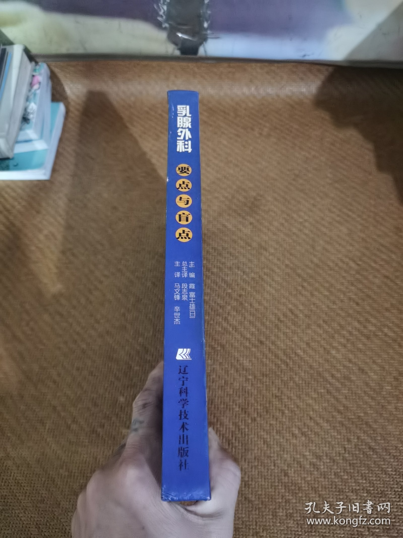 乳腺外科要点与盲点：乳腺外科要点与肓点