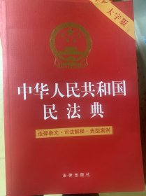 中华人民共和国民法典（法律条文·司法解释·典型案例 2022年大字版）