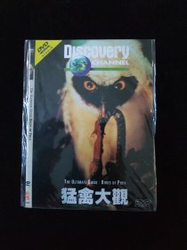 光盘DVD：猛禽大观   简装1碟