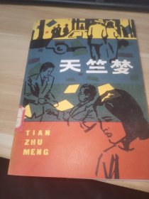 天竺梦（编写组）