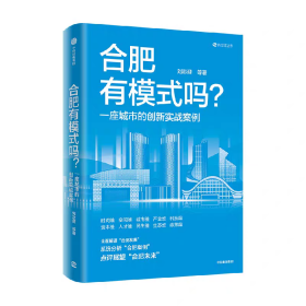 合肥有模式吗 一座城市的创新实战案例 刘志迎著预售