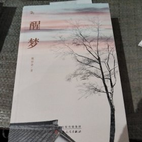 醒梦