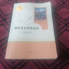 统编语文教材配套阅读 八年级下：钢铁是怎样炼成的/名著阅读课程化丛书