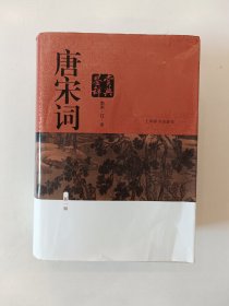 唐宋词鉴赏辞典（新一版）南宋 辽 金