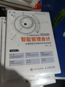 智能管理会计：全面赋能业财融合的实战指南[原封未拆阅](小16开127)