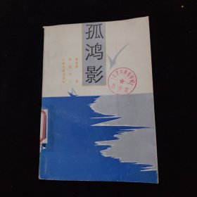 孤鸿影