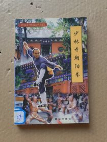 中国嵩山少林寺武功传世秘笈