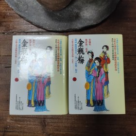 皋鹤堂批评第一奇书金瓶梅（上、下册）1994年一版一印