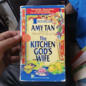 AMY TAN THE KITCHEN GOD'S WIFE M1