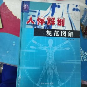 人體解剖規(guī)范圖解