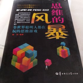 思维的风暴：全世界聪明人都在玩的思维游戏