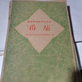 蔬菜栽培技术小丛书 番茄   1960年版