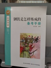 钢铁是怎样炼成的备考手册
