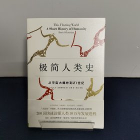 极简人类史：从宇宙大爆炸到21世纪