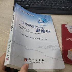 中国经济现代化的新路径