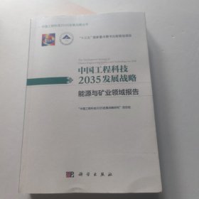 中国工程科技2035发展战略·能源与矿业领域报告