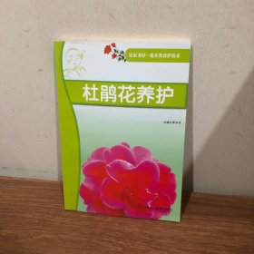 杜鹃花养花