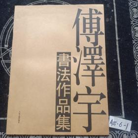 傅泽宇书法作品集