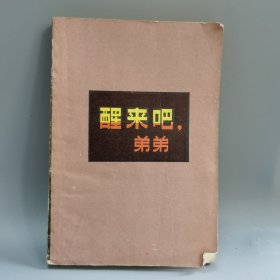 醒来吧，弟弟 短篇小说集