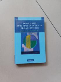 Power and Interdependence in Organizations(Cambridge Companions to Management)