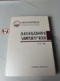 技术经济范式协同转变与战略性新兴产业发展