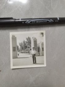 七十年代：山东工学院校门