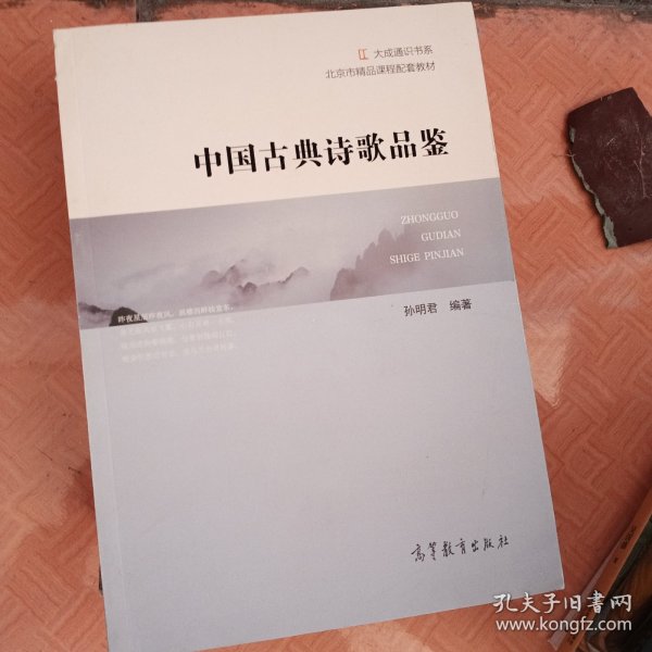 中国古典诗歌品鉴/北京市精品课程配套教材·大成通识书系