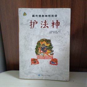 藏传佛教神明图谱：护法神