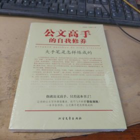 公文高手的自我修养：大手笔是怎样炼成的